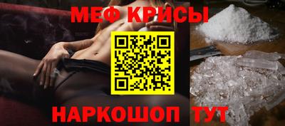 спайс Кингисепп
