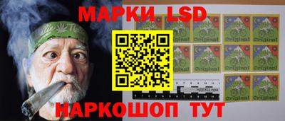 спайс Кингисепп