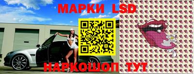 спайс Кингисепп