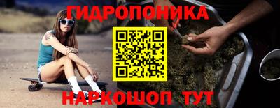 спайс Кингисепп