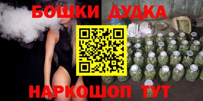 спайс Кингисепп