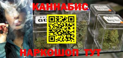 спайс Кингисепп