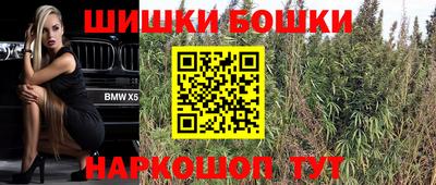 спайс Кингисепп