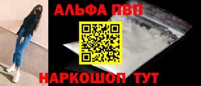 спайс Кингисепп