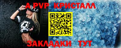 спайс Кингисепп