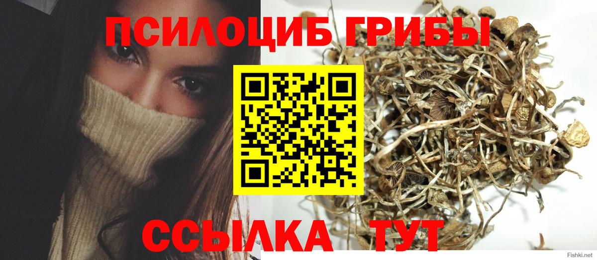 Псилоцибиновые грибы Cubensis Химки