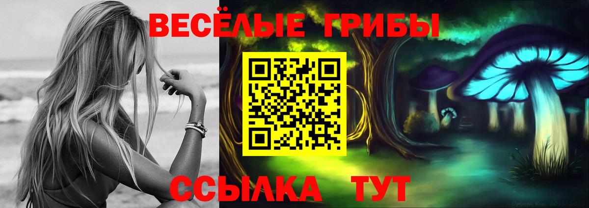 Галлюциногенные грибы Psilocybe  Вход с VPN  что такое   Псилоцибиновые грибы Magic Shrooms  Химки 